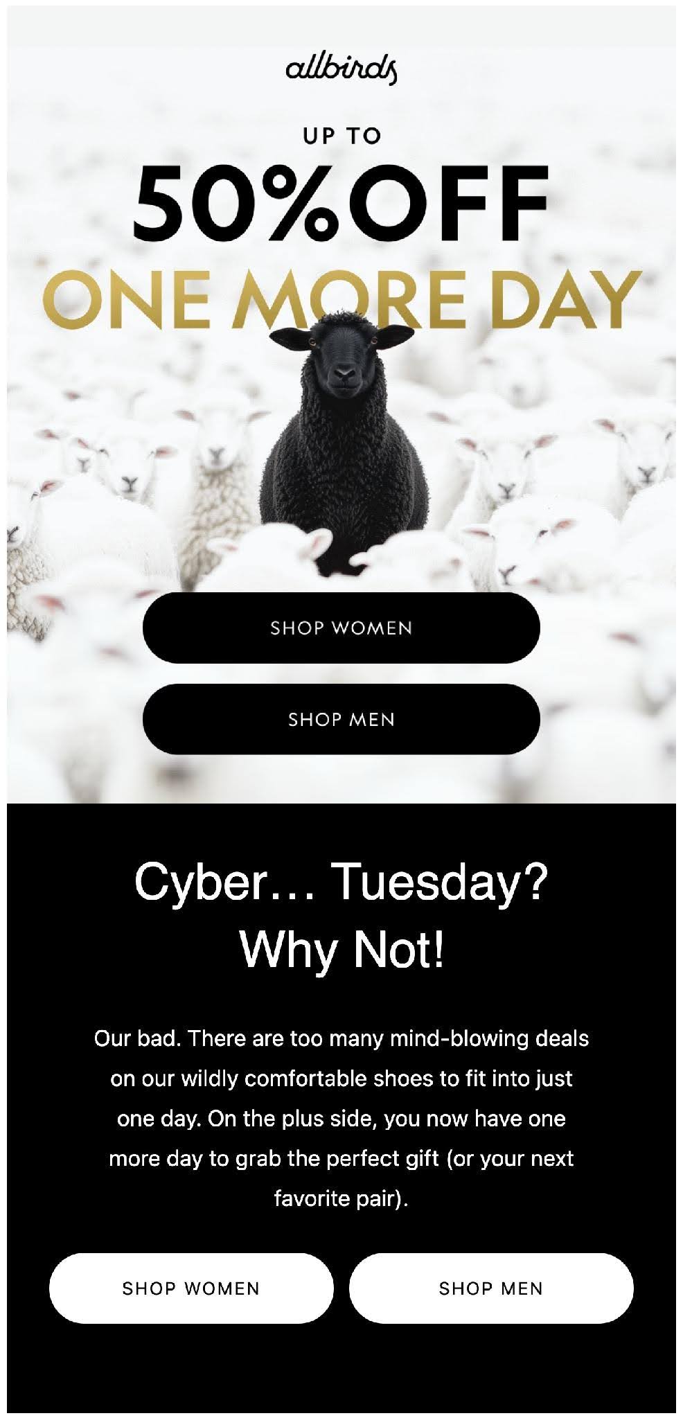 Archived Allbirds Cyber Monday extension email creative showing up to 50% off with a black sheep among white sheep.