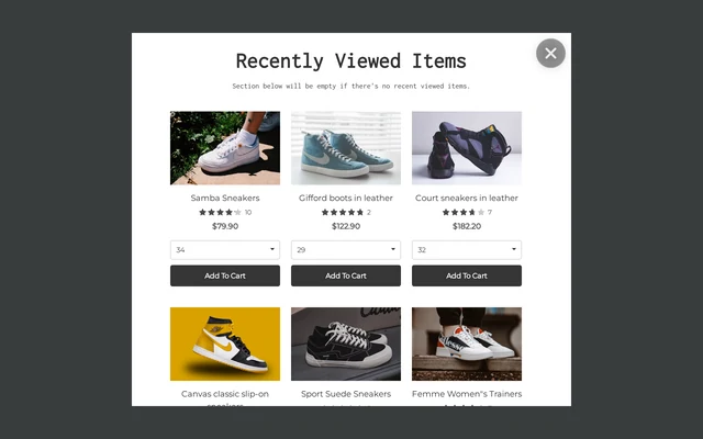 Recently Viewed Product Recommendations