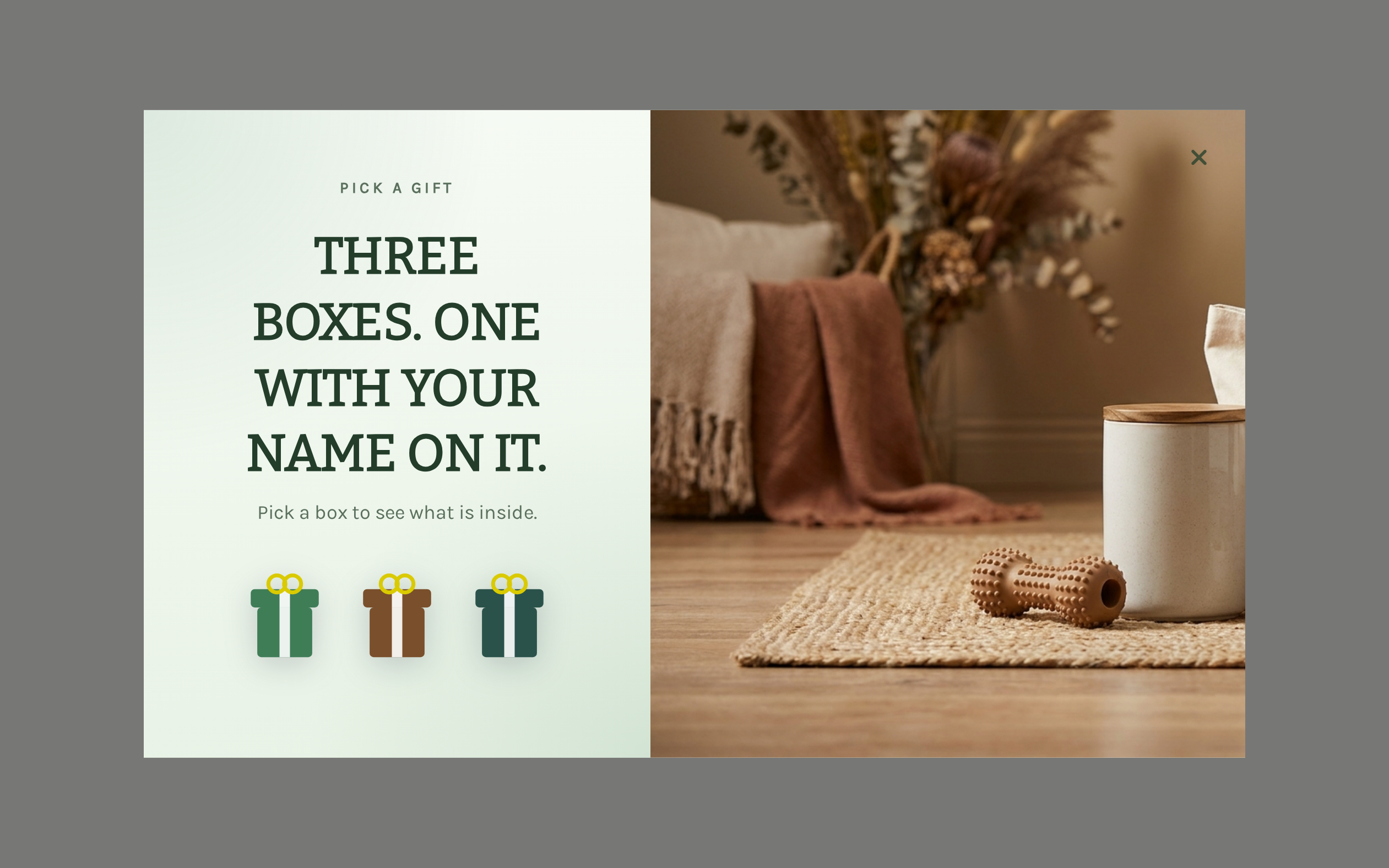 Pet Supplies Pick a Gift, step 1 of 4 (Play (Pick a Gift))